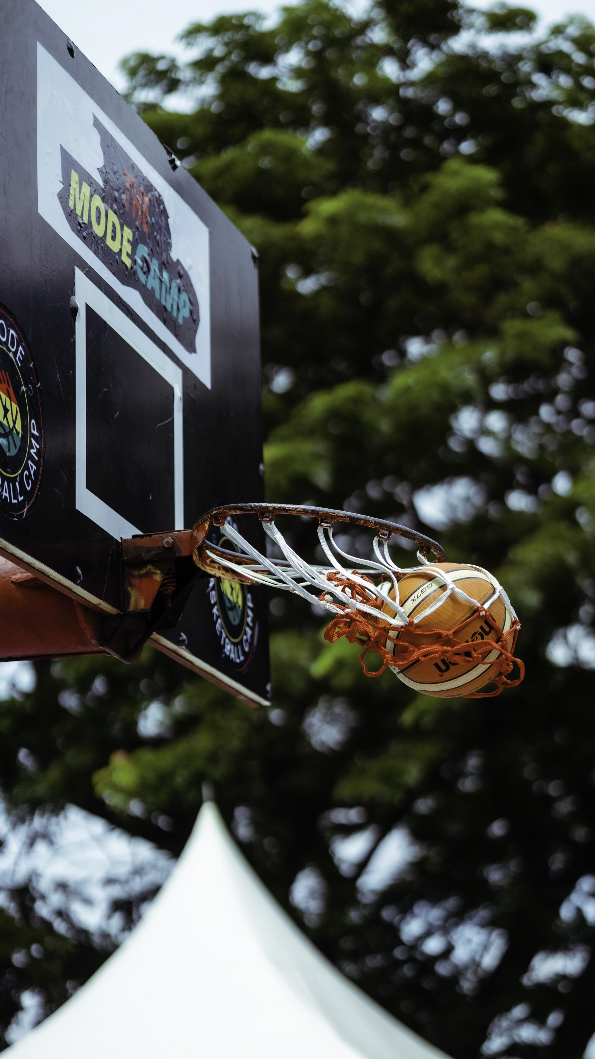 BASKETBALL - Image 11