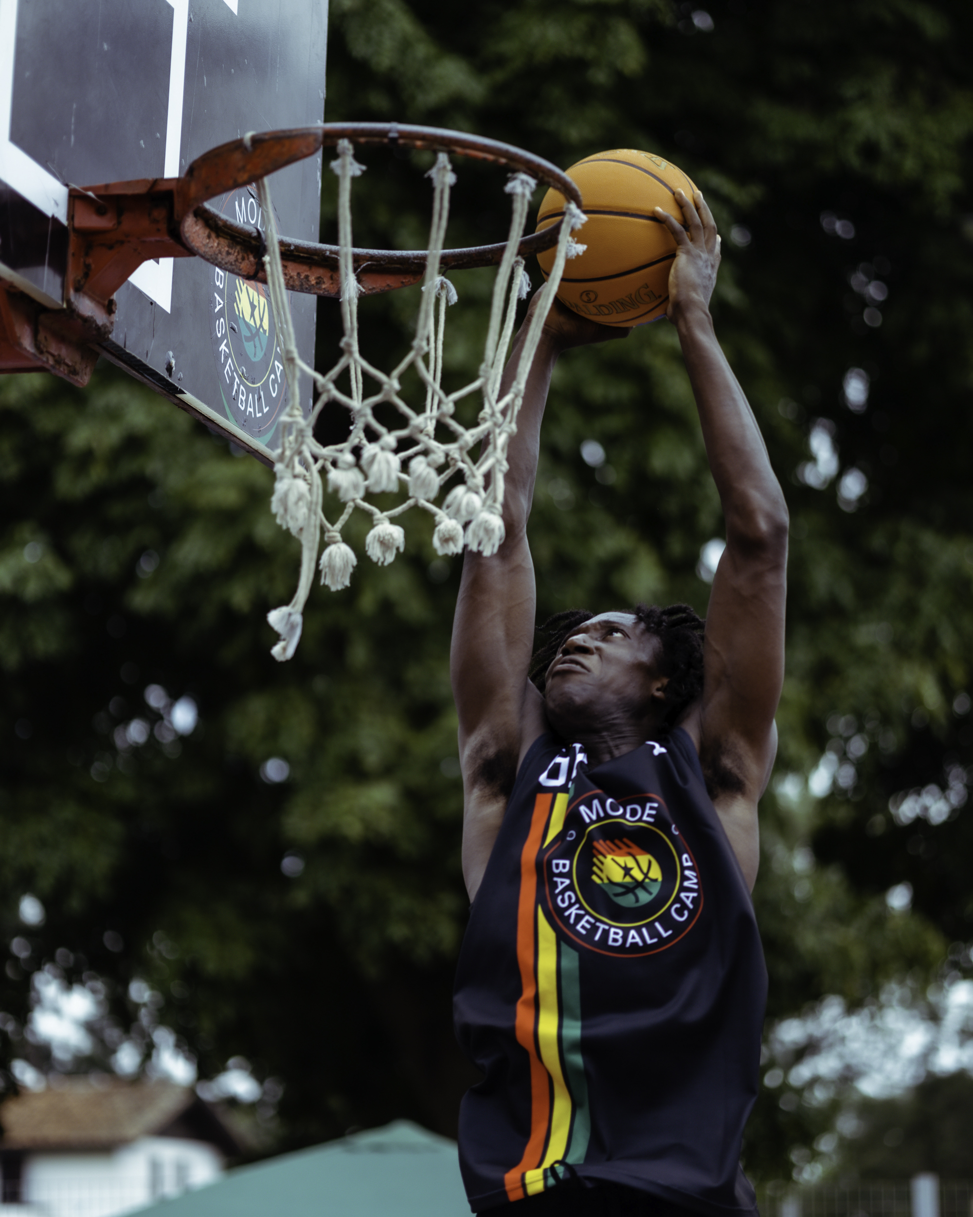 BASKETBALL - Image 2